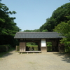 「あなた、鳥の人？」〜神奈川の公園にて〜