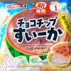 インパクト大な夏季限定パン！ヤマザキの「チョコチップすいーか」の巻