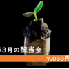 【2020年3月配当金】2020年最初の配当金は7,030円でした