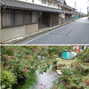 恩師と中山道の宿場を歩くことと原田マハ『生きるぼくら』