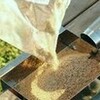 喫煙可能室喫煙目的室の違い居間と床の間まの