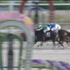 １２月１日公開予想・結果　～メイン３レースとも軸的中