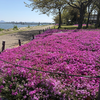 天気が良すぎるので滋賀散歩する