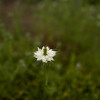 小雨の早朝さんぽ ～ 後編