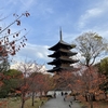 東寺の2020秋期特別公開に行ってきました（京都府京都市）2020/11/15