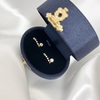 PARIS ピアス