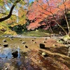 小石川後楽園の紅葉を見どころと共にご紹介！気になるアクセス・混雑状況やお得な入園方法までお伝えします！