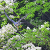 5月20日(金曜日)