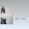 【歌詞・和訳】Flownn / Illuminate