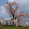 円山公園へのアクセス。京都駅からの行き方。