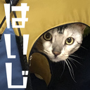 はいじどう、ぜんじどう。