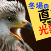 冬場の直視できない光熱費…。