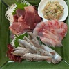 美味しいおつまみあれこれ、小田原で買ってきたものも楽しみました！