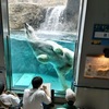 旭山動物園リポート