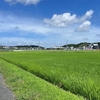 中山から田奈・恩田・寺家を経て市ヶ尾へ歩く【横浜緑・青葉】