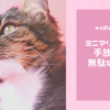 【もうやめました】ミニマリストが手放した“ムダな習慣”3選