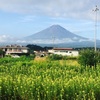 おはよう富士山！