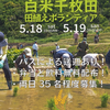 白米千枚田で田植えしようぜ d(ﾟ∀ﾟd)！（開催日：2024年5月18日、19日）