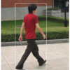  PyTorchはじめました(Object Detection)