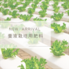 オンラインショップに養液栽培肥料　新登場☆