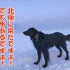 雪が少なくてラッキーだったけど～