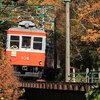 箱根登山線の紅葉は如何に