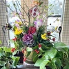 エントランスがお正月バージョンのお花でした( *´艸｀)