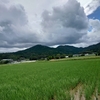 梅雨明けまだ？