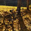 和泉葛城山塔原ヒルクライムと大威徳寺の紅葉ライド