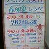 2022年アカウミガメ産卵