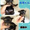BABY兄弟オーナー様募集開始
