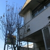 おそらく最後の