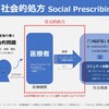 社会的処方の現状・感想｜Dr.西智弘の本をはじめ ～大好きな人にも、大嫌いな人にも～