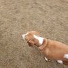 交通事故。
