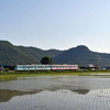 近江鉄道 2025　5/24-25
