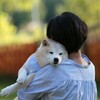 犬を蹴るおばさん、盲導犬を蹴る韓国人…精神異常者から身を守るって事