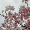 7−MAR-2021