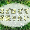 後悔はないけれどもほどほども大事だと思った日の雑記。