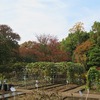 薬用植物園_１（東京都小平市）