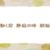 一人お花見　【晩春の俳句】