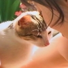 仔猫と舞美