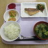 3/18の昼食