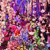 【蜷川実花展withEiM 🦋彼岸の光✨此岸の影🩶】美しく煌めく世界へ💎没入体験📍京都市京セラ美術館🏛️
