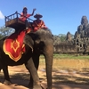 【カンボジア女子一人旅】バイヨン寺院で象乗り体験★