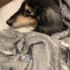 1月9日のこと。つづき