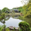 肥後細川庭園【訪問編】