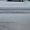 我が家の周辺は何年かぶりの積雪でした‥