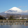 東山湖で釣り初め、アイツが復活！？