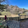 夫婦池（神奈川県鎌倉）