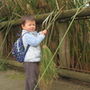 ZOO（動物園）へドライブ